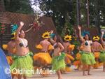 Mezinárodní folklorní festival Liptálské slavnosti